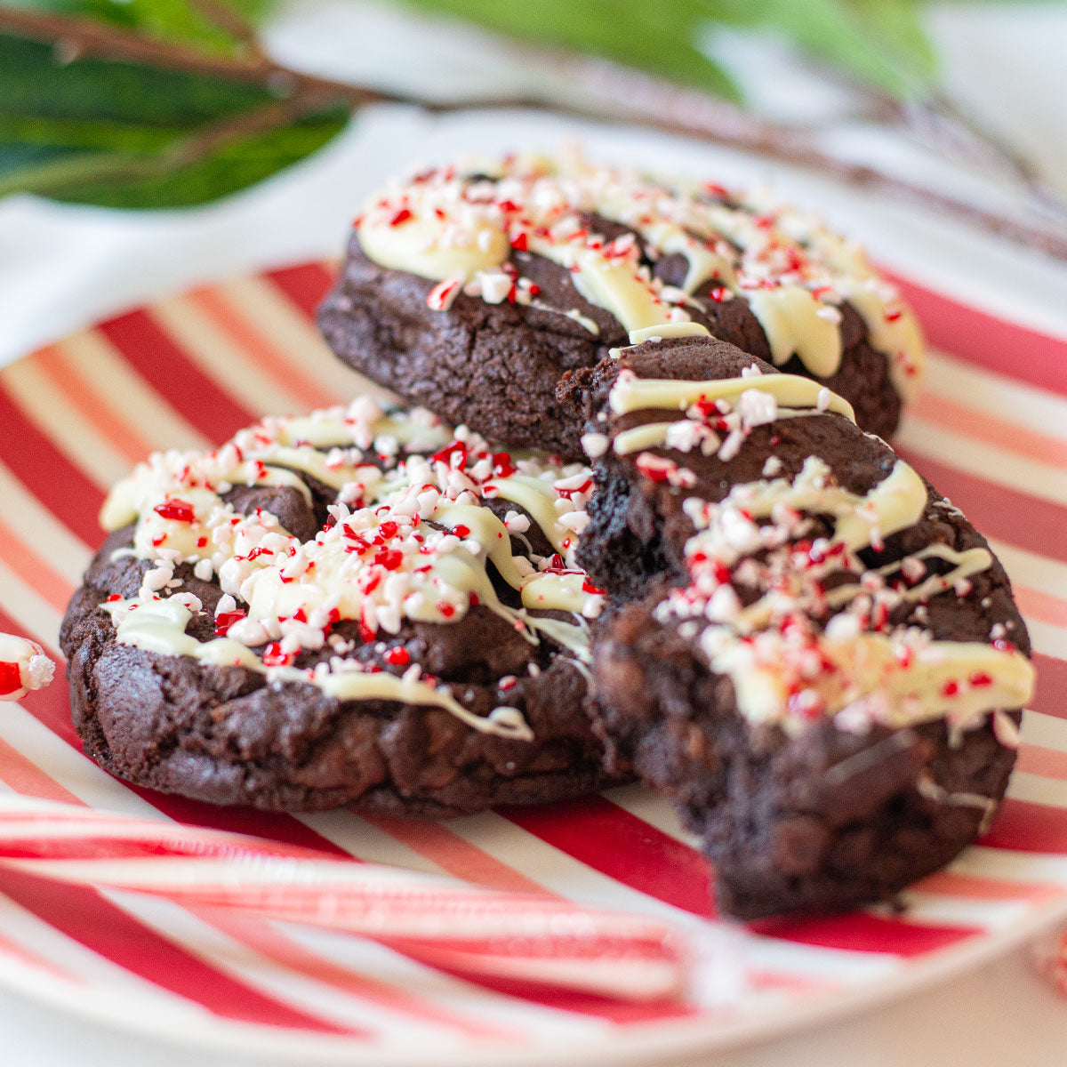 Close-up of rich chocolate cookies infused with peppermint and espresso, drizzled with white chocolate, and topped with crushed candy canes. The cookies sit on a festive red-and-white plate, perfect for the holiday season.