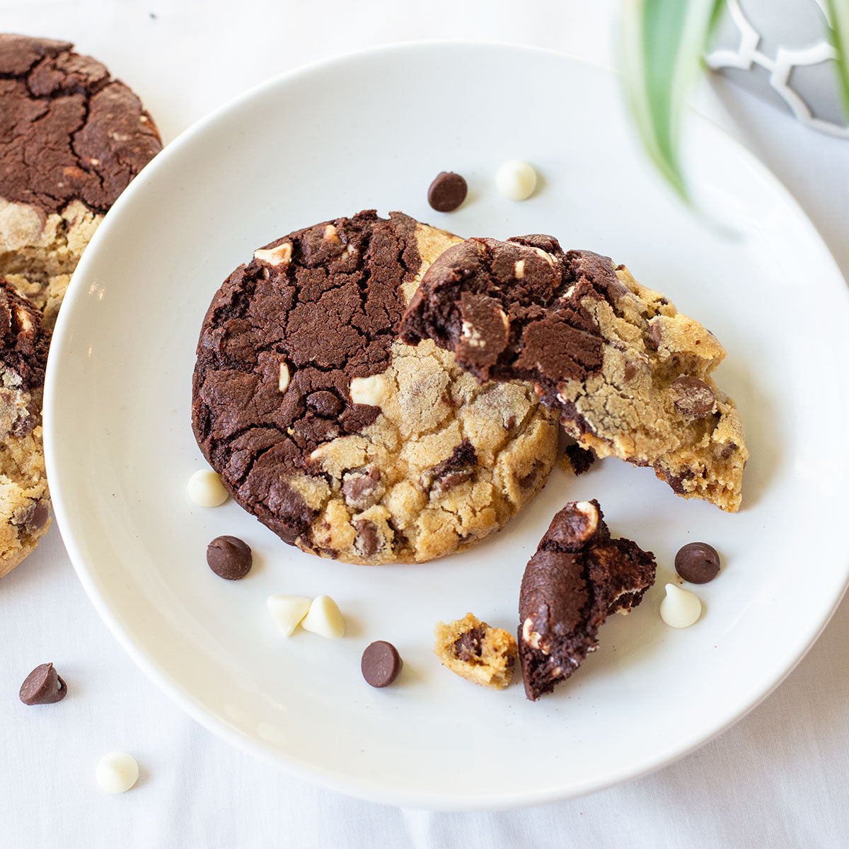 Chocolate Swirl Cookies